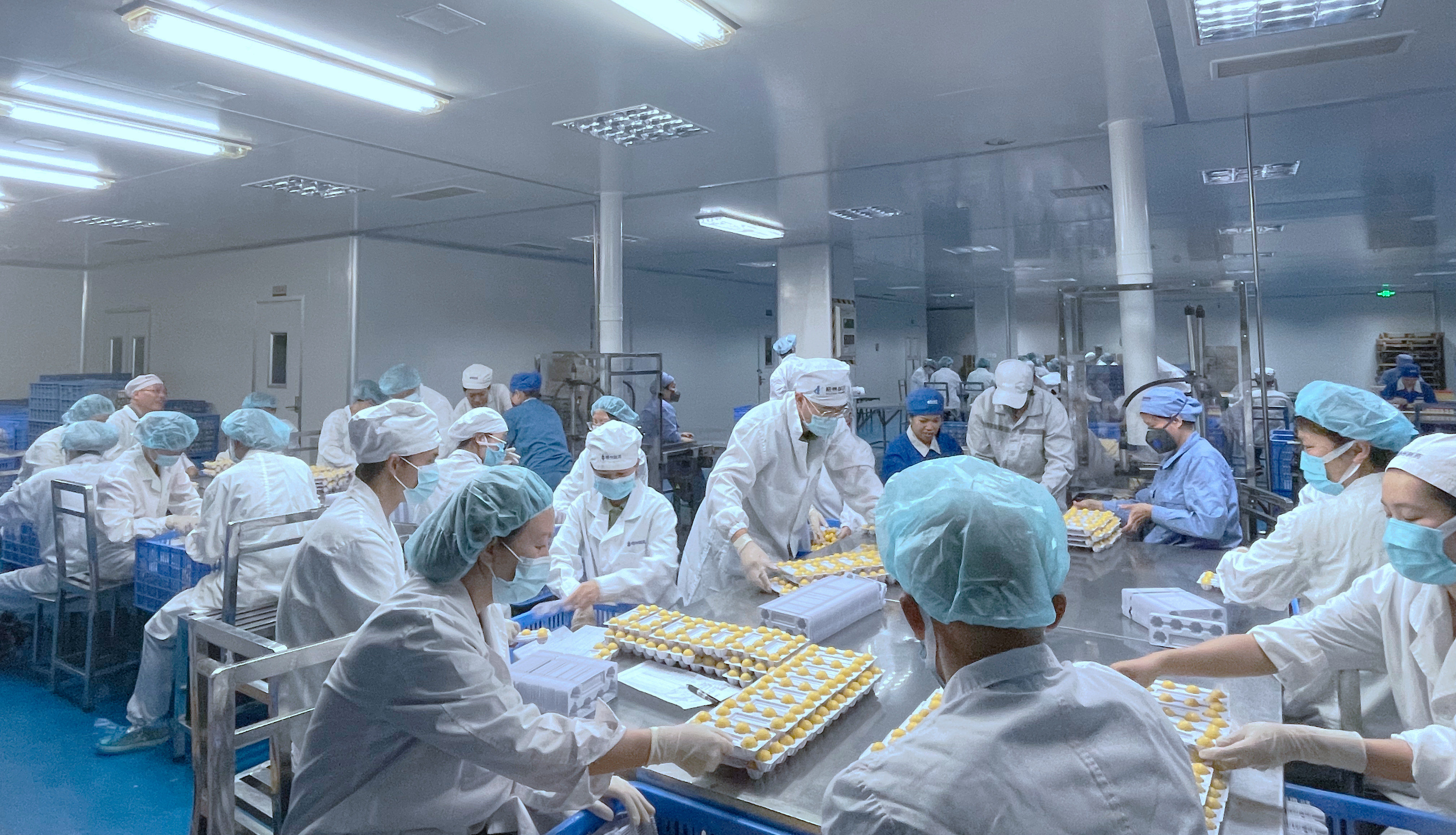 304am永利(中国)集团有限公司官网