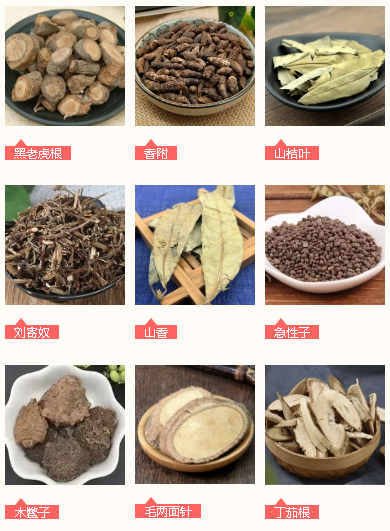 304am永利(中国)集团有限公司官网
