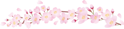 09bfb42d59b1b27fcf1786bd91918c50