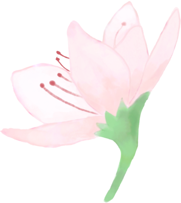 a0d6fa0e318e66bf25555a1bf445ae3f